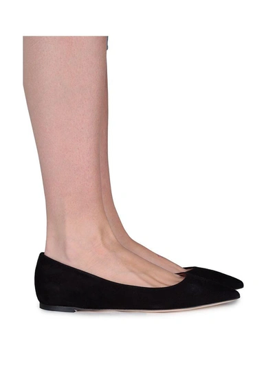 Shop Lerre Suede Pointed Ballet Flat In Nero