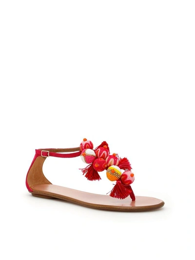 Shop Aquazzura Tropicana Sandals In Paradise Pinkrosa