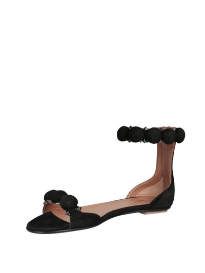 Shop Alaïa Studded Suede Sandals In Nero