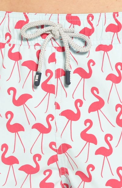 Shop Tom & Teddy Flamingo Print Swim Trunks In Fuchsia