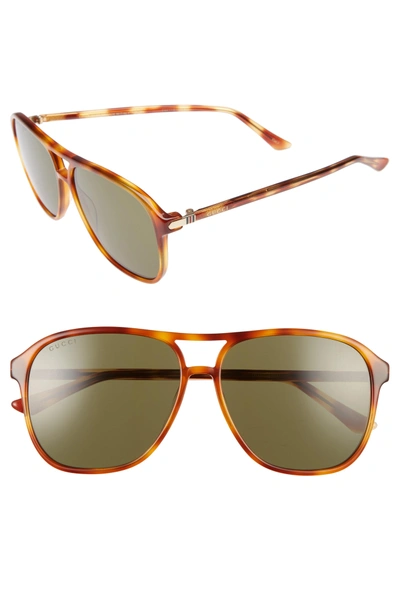 Shop Gucci Retro Web 58mm Sunglasses - Havana W/ Green Lens