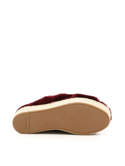 Shop Miu Miu Sheepskin Sandals In Granatorosso