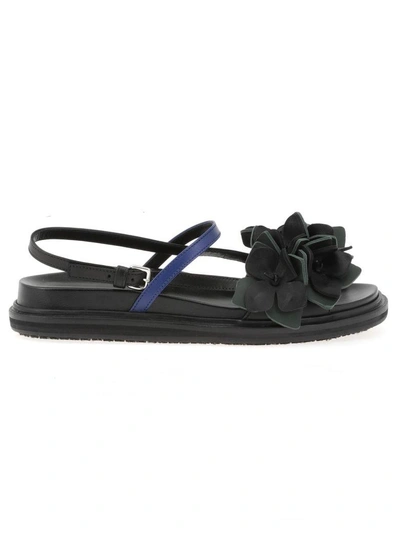 Shop Marni Leather Sandal In Black+dark Sea Green+ocean