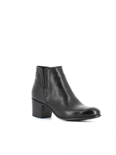 Shop Alberto Fasciani Ankle Boots \"maya 31044\" In Black