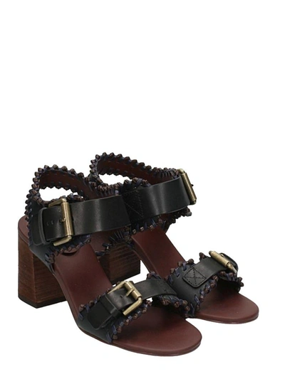 Shop See By Chloé Black Leather Sandals