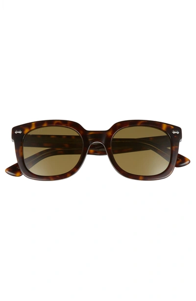 Shop Gucci 50mm Square Sunglasses - Dark Havana