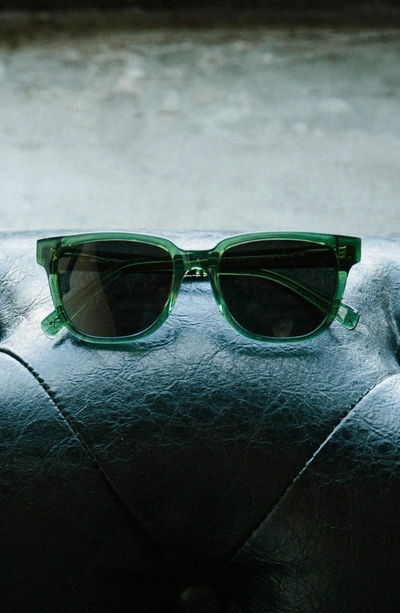 Shop Shwood 'prescott' 52mm Acetate & Wood Sunglasses In Emerald/ Elm Burl/ Grey