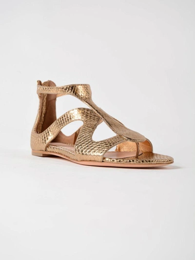 Shop Alexander Mcqueen Leather Flat Sandal In Bronze