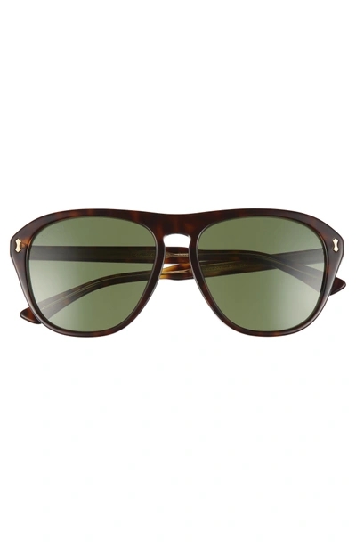 Shop Gucci 56mm Sunglasses In Havana/ Green