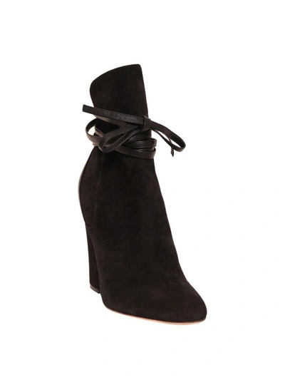 Shop Sergio Rossi Tea Suede Ankle Boots In Nero