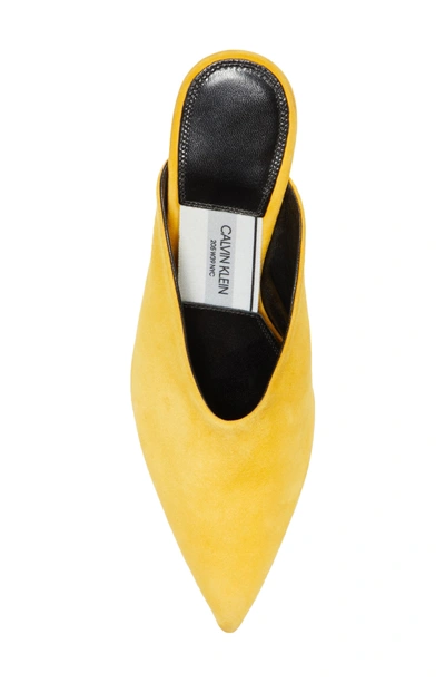 Shop Calvin Klein 205w39nyc Roslynn Pointy Toe Mule In Sun Yellow