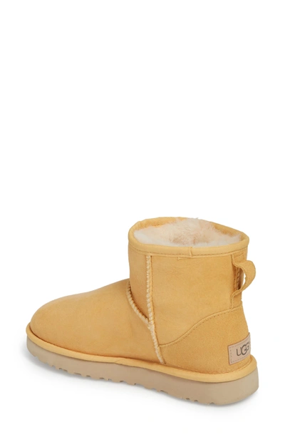 Shop Ugg 'classic Mini Ii' Genuine Shearling Lined Boot In Sunflower