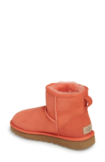 Shop Ugg 'classic Mini Ii' Genuine Shearling Lined Boot In Coral