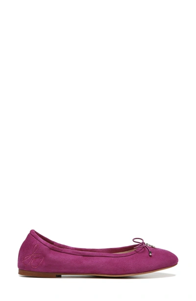 Shop Sam Edelman 'felicia' Flat In Mulberry Pink Suede