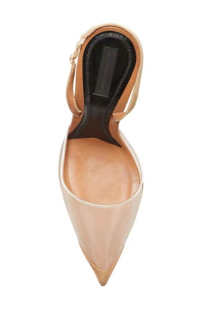 Shop Alexander Wang Alix Mesh Slingback Pump In Nude