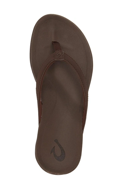 Shop Olukai 'ho Opio' Flip Flop In Brown Faux Leather