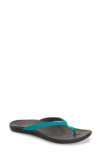 Shop Olukai 'ho Opio' Flip Flop In Mermaid/ Shadow Faux Leather