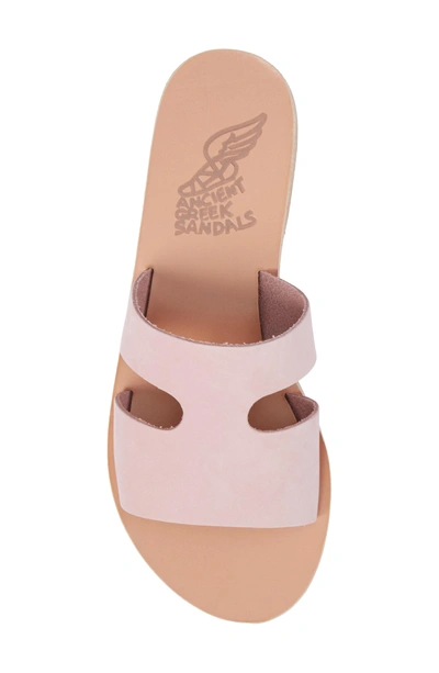 Shop Ancient Greek Sandals Apteros Slide Sandal In Nubuck Pink