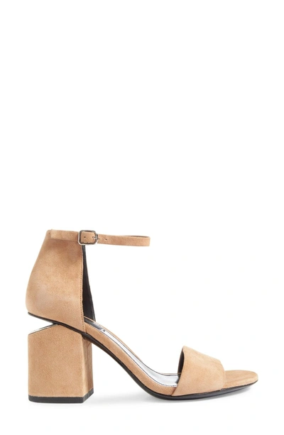 Shop Alexander Wang 'abby' Ankle Strap Sandal In Clay