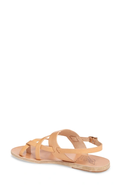 Shop Ancient Greek Sandals Alethea Sandal In Natural