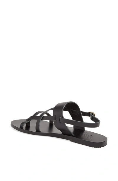 Shop Ancient Greek Sandals Alethea Sandal In Black