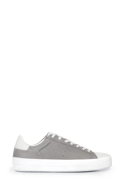 Shop Allsaints Safia Sneaker In Grey