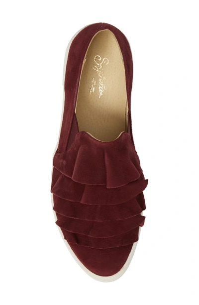 Shop Seychelles Quake Slip-on Sneaker In Burgundy Suede