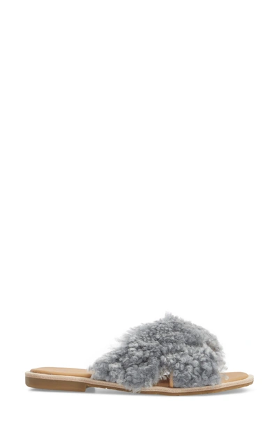 Shop Ugg Joni Genuine Shearling Slide Sandal In Lude Grey