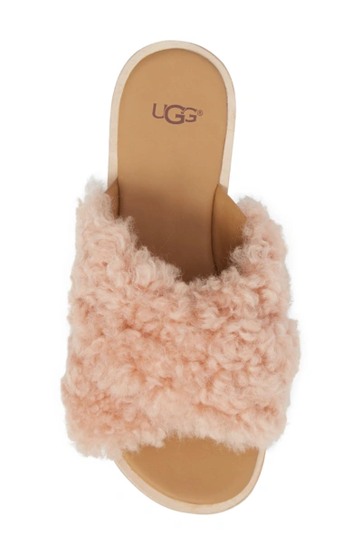 Shop Ugg Joni Genuine Shearling Slide Sandal In Suntan