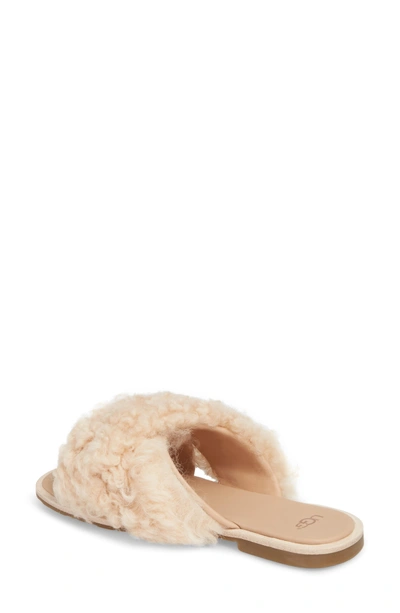 Shop Ugg Joni Genuine Shearling Slide Sandal In Soft Ochre