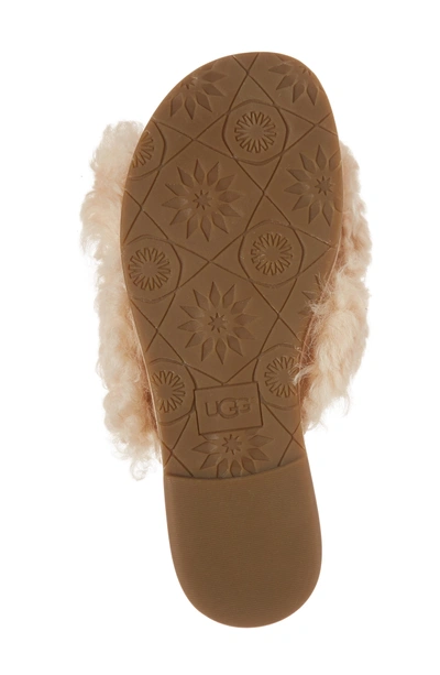 Shop Ugg Joni Genuine Shearling Slide Sandal In Soft Ochre