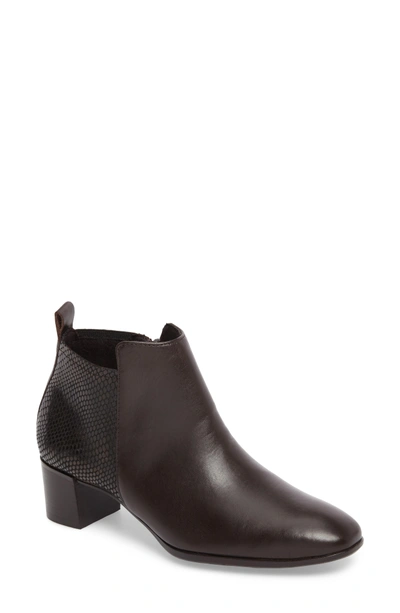 Shop Munro Alix Bootie In Chocolate Leather