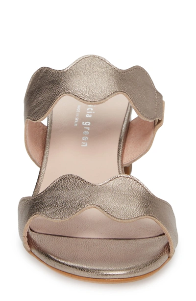 Shop Patricia Green Palm Beach Slide Sandal In Bronze Leather