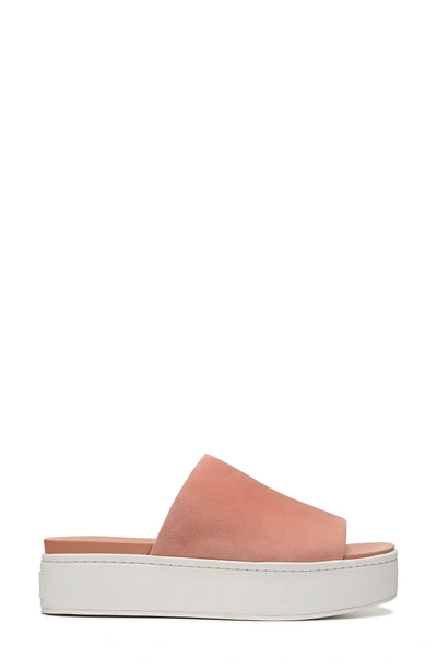 Shop Vince Walford Flatform Slide In Blush Suede