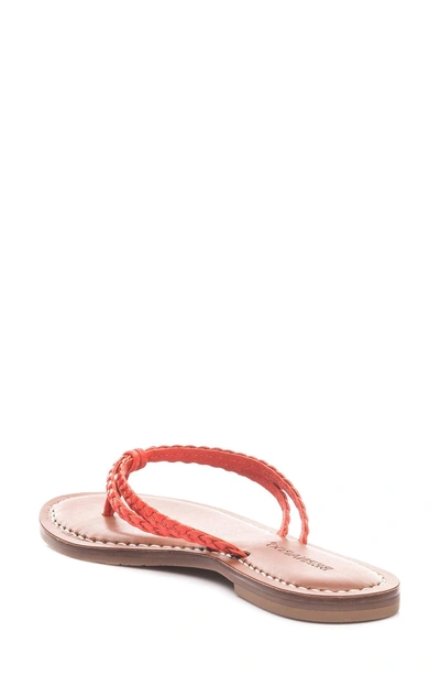Shop Bernardo Greta Braided Strap Sandal In Coral Red Leather