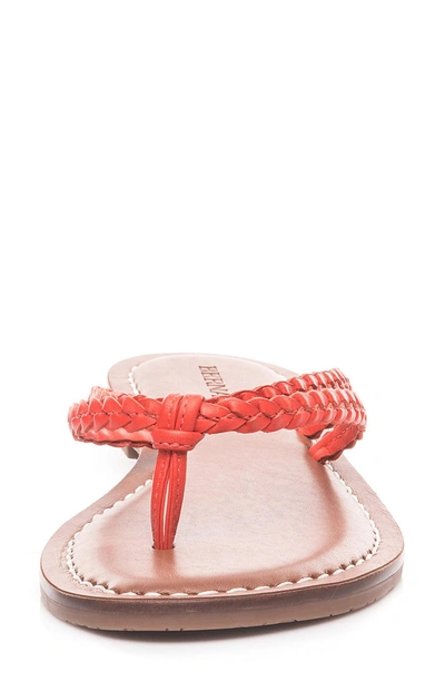 Shop Bernardo Greta Braided Strap Sandal In Coral Red Leather