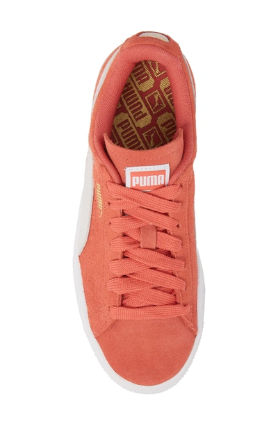 Shop Puma Suede Sneaker In Spiced Coral/  White