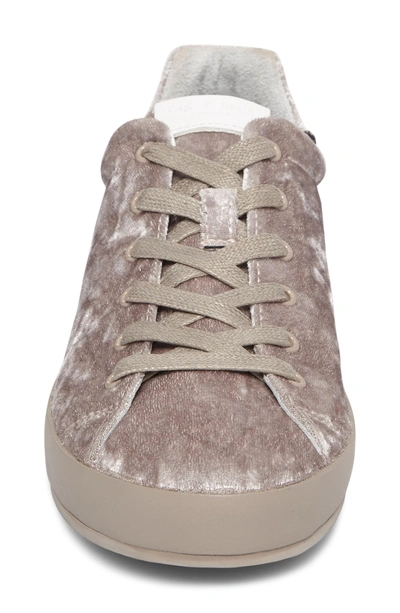 Shop Rag & Bone Rb1 Low-top Sneaker In Dove Velvet