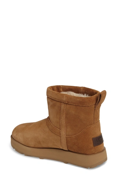 Shop Ugg Classic Mini Waterproof Boot In Chestnut Suede