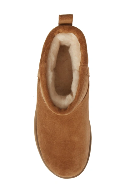 Shop Ugg Classic Mini Waterproof Boot In Chestnut Suede