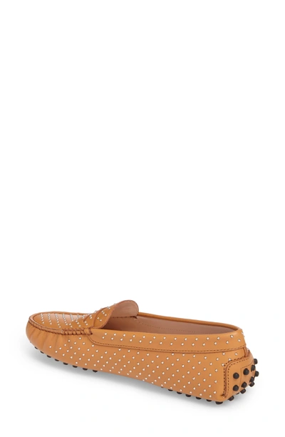 Shop Tod's Gommini Stud Penny Loafer In Brown