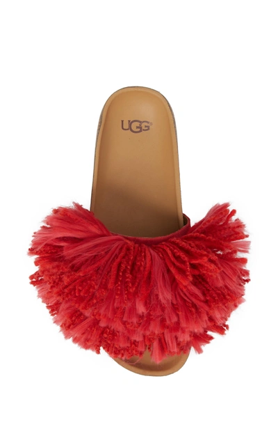 Shop Ugg Cindi Yarn Pom Sandal In Ribbon Red