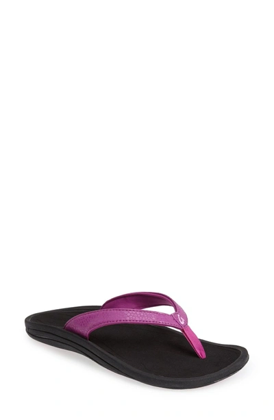 Shop Olukai 'kulapa Kai' Thong Sandal In Purple/ Black