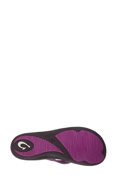 Shop Olukai 'kulapa Kai' Thong Sandal In Purple/ Black