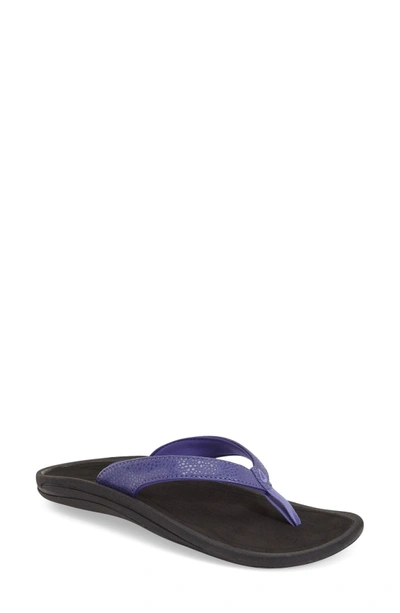 Shop Olukai 'kulapa Kai' Thong Sandal In Deep Violet/ Black