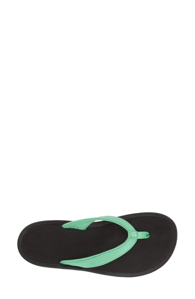 Shop Olukai 'kulapa Kai' Thong Sandal In Pale Jade/ Black