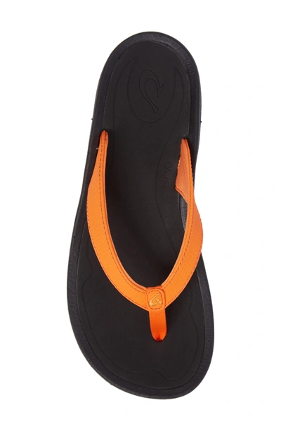 Shop Olukai 'kulapa Kai' Thong Sandal In Papaya/ Black Faux Leather