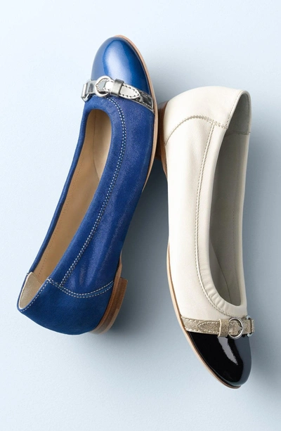 Shop Agl Attilio Giusti Leombruni Cap Toe Ballet Flat In Marine Leather