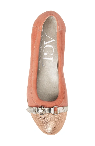 Shop Agl Attilio Giusti Leombruni Cap Toe Ballet Flat In Antique Pink Leather