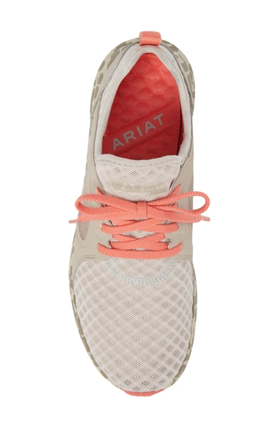 Shop Ariat Fuse Print Sneaker In Grey Mesh